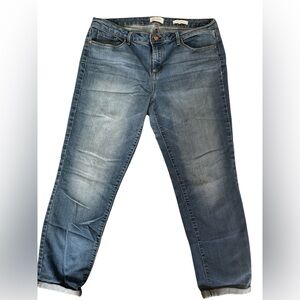 Classic Blue Denim Jeans